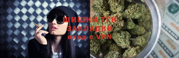 прущие крисы Елизово