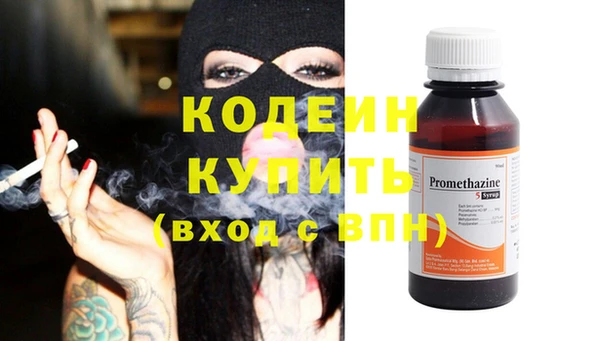 2c-b Ельня