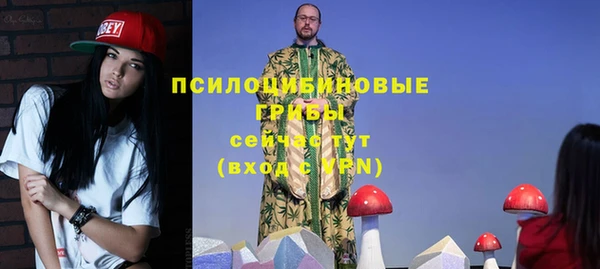 прущие крисы Елизово