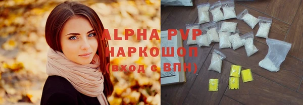 2c-b Ельня