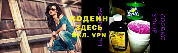 2c-b Ельня