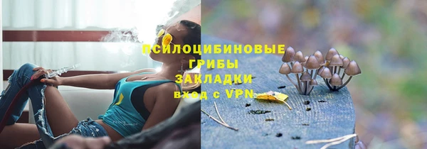 прущие крисы Елизово