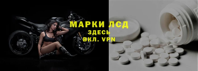 прущие крисы Елизово
