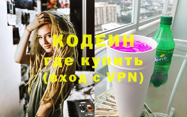 2c-b Ельня