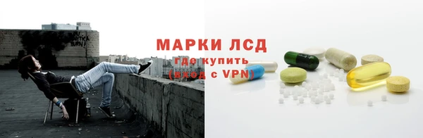 2c-b Ельня