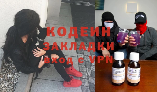 2c-b Ельня