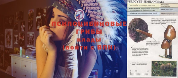 2c-b Ельня