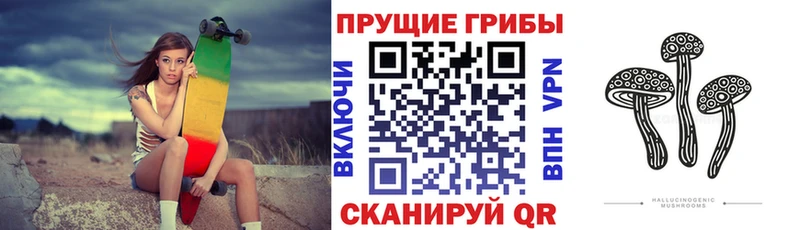 Галлюциногенные грибы GOLDEN TEACHER  Купить где  Коммунар 